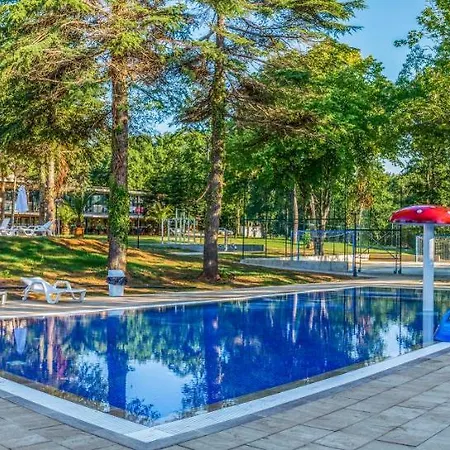 куин нели парк