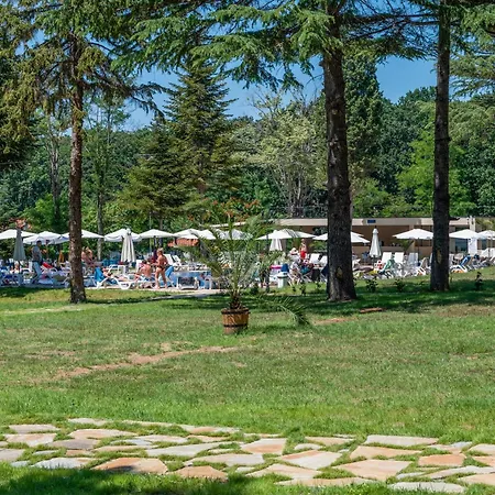 Хотел куин нели парк Китен