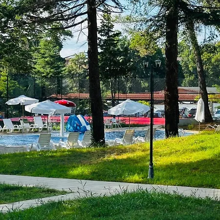 куин нели парк Хотел Китен