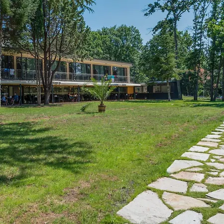 куин нели парк Хотел