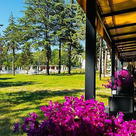 куин нели парк Хотел