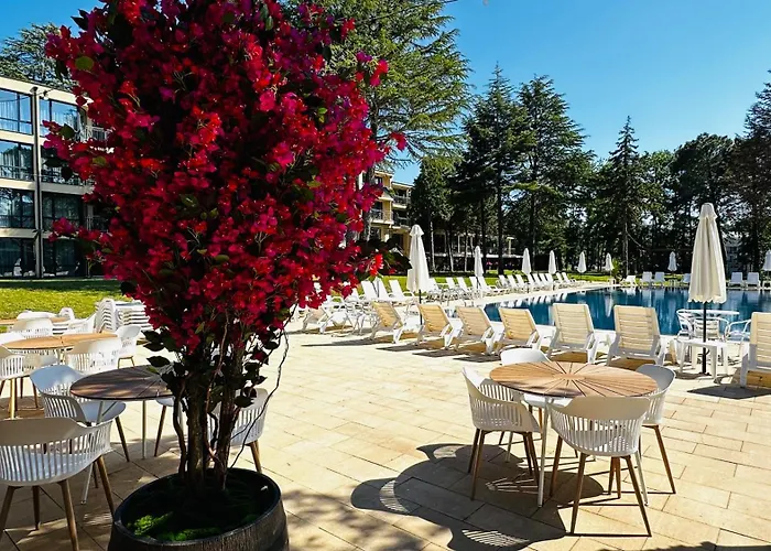 Queen Nelly Park 호텔