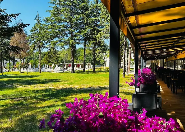 Queen Nelly Park 호텔